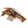 Collecta Deluxe Lobster -collecta shop 60e17a8c174e2b3deabb2eb4b47021b7 thumb