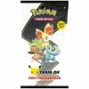 Pokemon TCG 25th Anniversary First Partner Pack Kalos -collecta shop e983b50483693385d93d42864c2a9d9d thumb